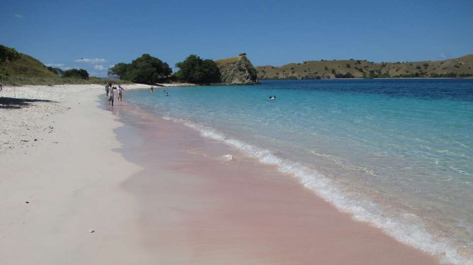 Komodo Wildlife Sea and Safari Tour - Adventure Indonesia - Indonesia - Image 4
