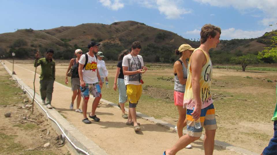 Komodo Wildlife Sea and Safari Tour - Adventure Indonesia - Indonesia - Image 5