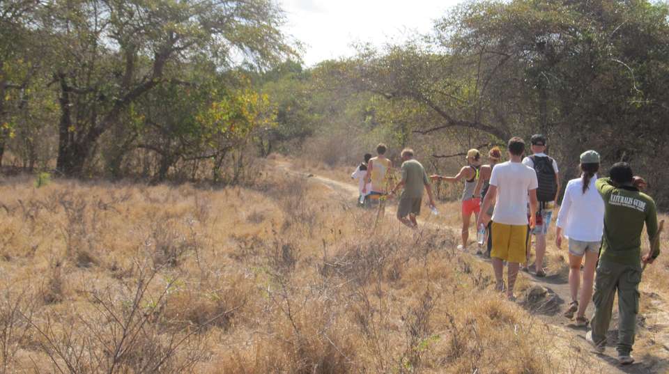 Komodo Wildlife Sea and Safari Tour - Adventure Indonesia - Indonesia - Image 6