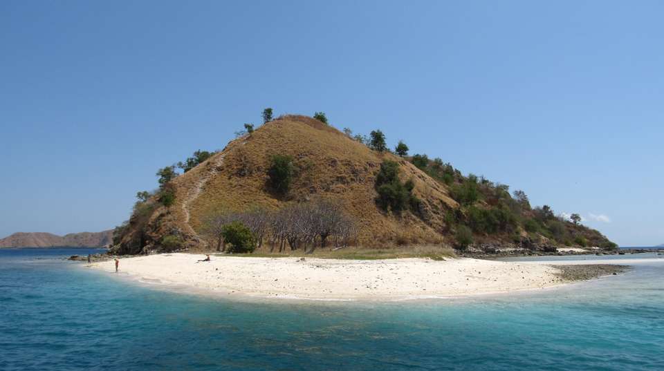 Komodo Wildlife Sea and Safari Tour - Adventure Indonesia - Indonesia - Image 8