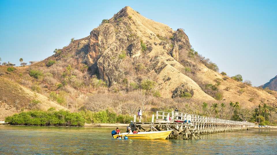 Komodo Wildlife Sea and Safari Tour - Adventure Indonesia - Indonesia - Image 9