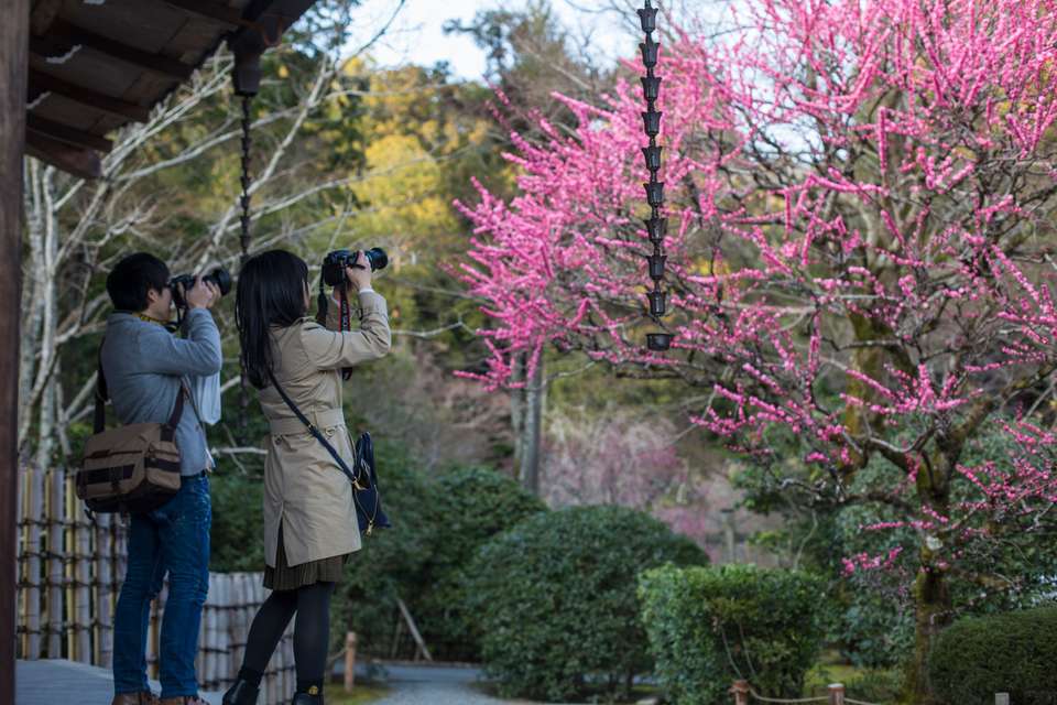 Korea to Japan: Epic Eats & Bright City Lights - undefined - Image 5