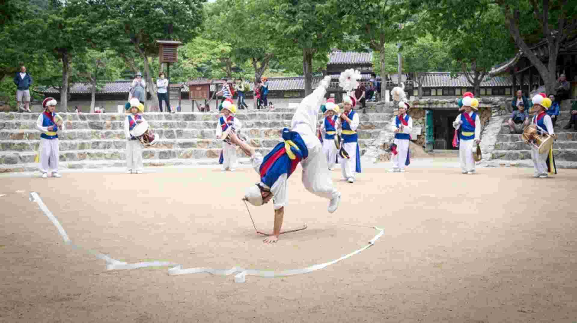 Korean Folk Village Afternoon Tour