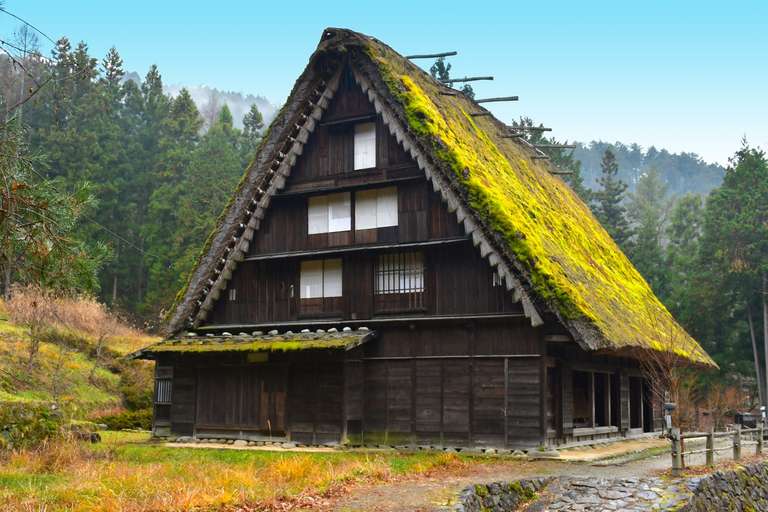 Korean Landscapes and Japan with Mount Fuji trip - alternative tour available