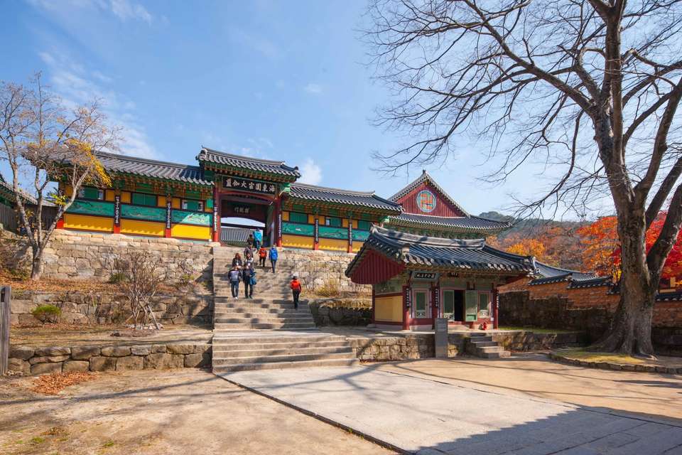Korean World Heritage Adventure 11D/10N - Bamba - South Korea - Image 5