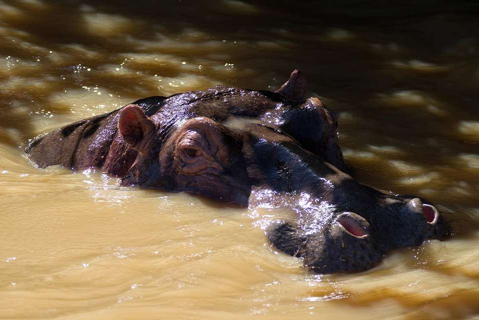 Kruger & Coast - Intrepid Travel - South Africa - Image 3