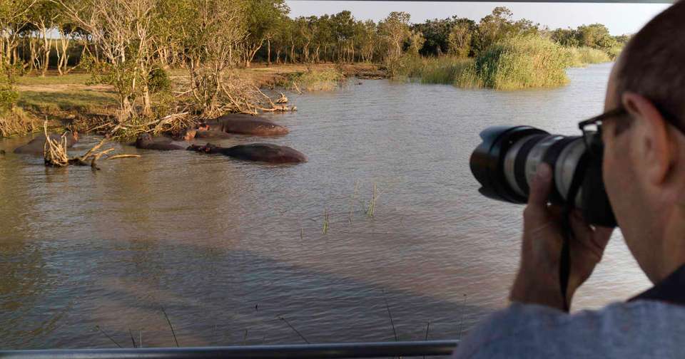 Kruger, Eswatini and South Africa's Garden Route - Explore - South Africa - Image 18