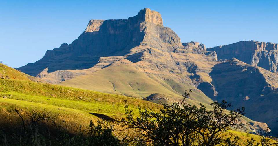 Kruger, Eswatini and South Africa's Garden Route - Explore - South Africa - Image 15
