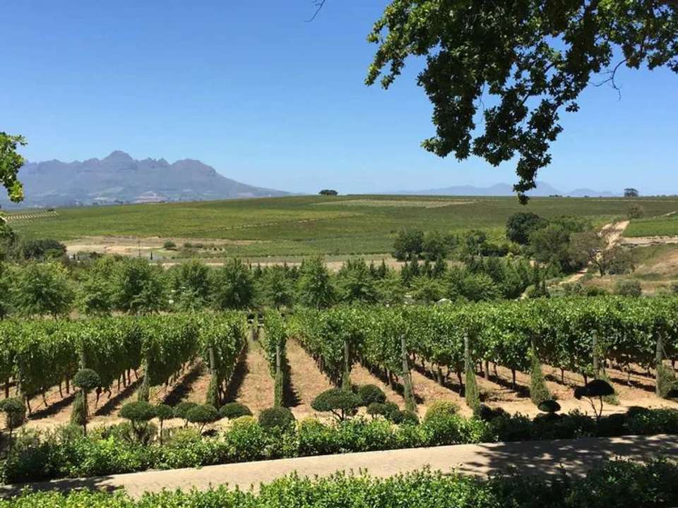 Kruger, Eswatini and South Africa's Garden Route - undefined - Image 24