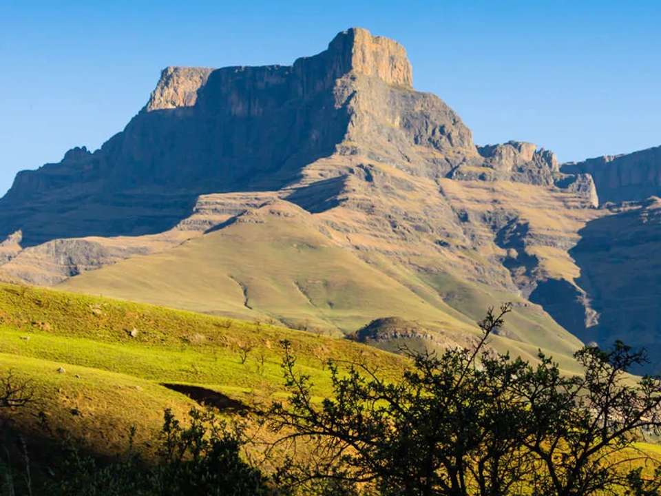 Kruger, Eswatini and South Africa's Garden Route - undefined - Image 13