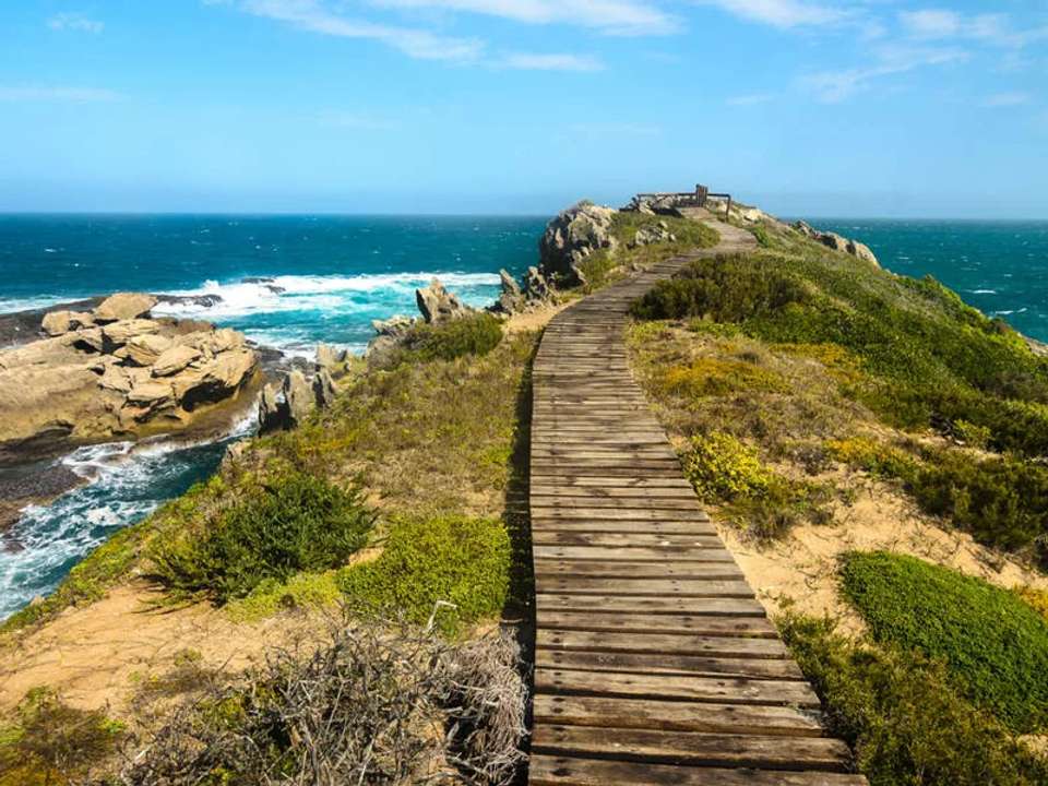 Kruger, Eswatini and South Africa's Garden Route - undefined - Image 9