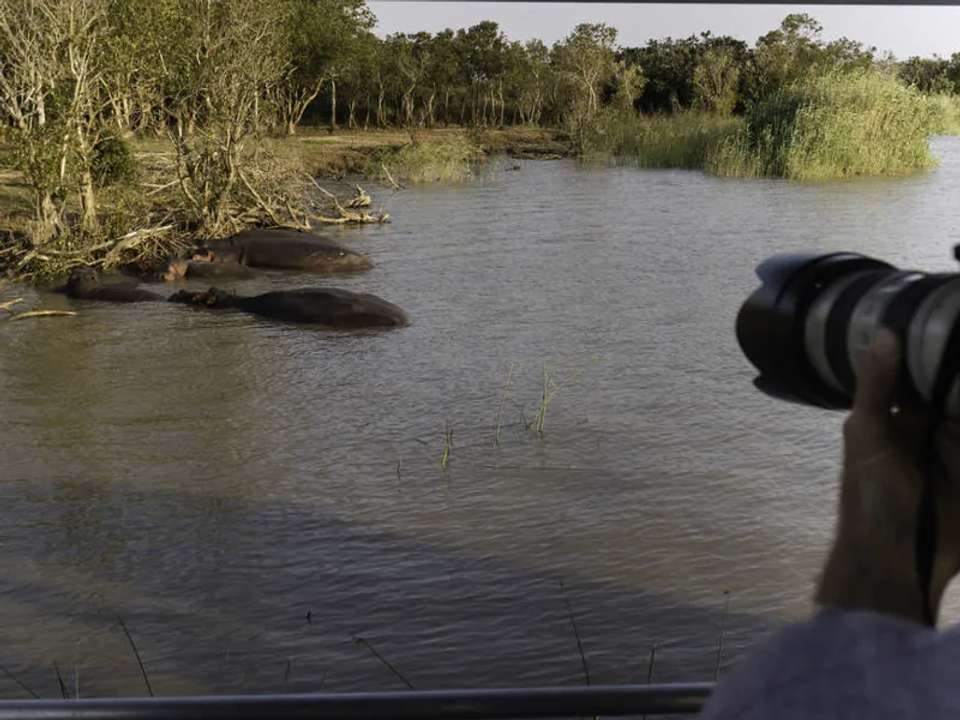Kruger, Eswatini and South Africa's Garden Route - undefined - Image 7