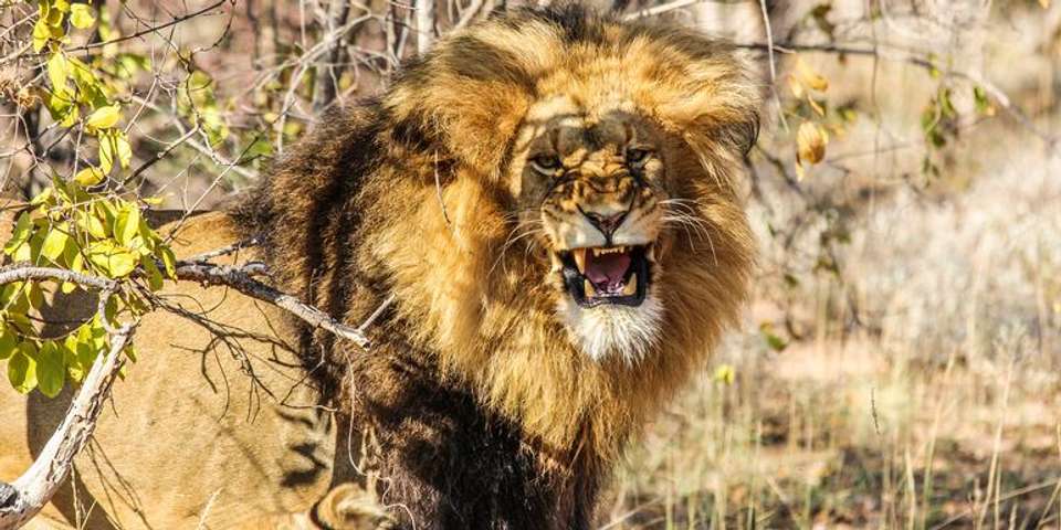 Kruger, Falls & Zimbabwe: Mineral Pools & National Parks - G Adventures - Zimbabwe - Image 1
