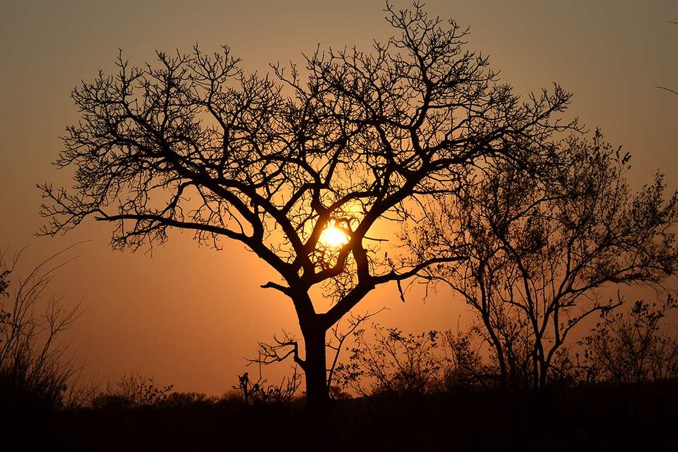 Kruger Lodge Experience - Intrepid Travel - South Africa - Image 3