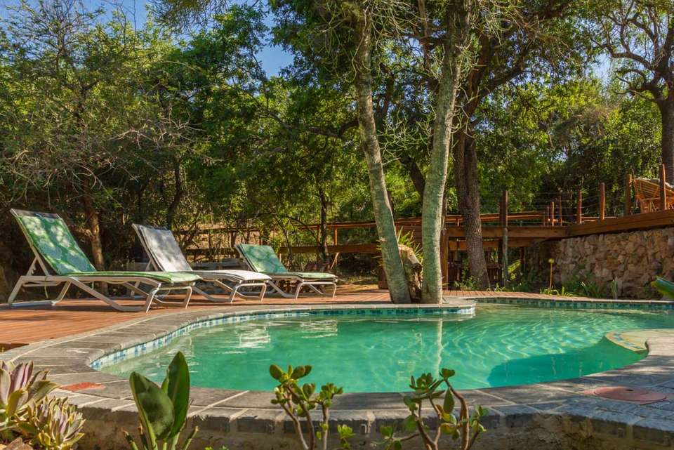 Kruger Lodge Experience - Intrepid Travel - South Africa - Image 4