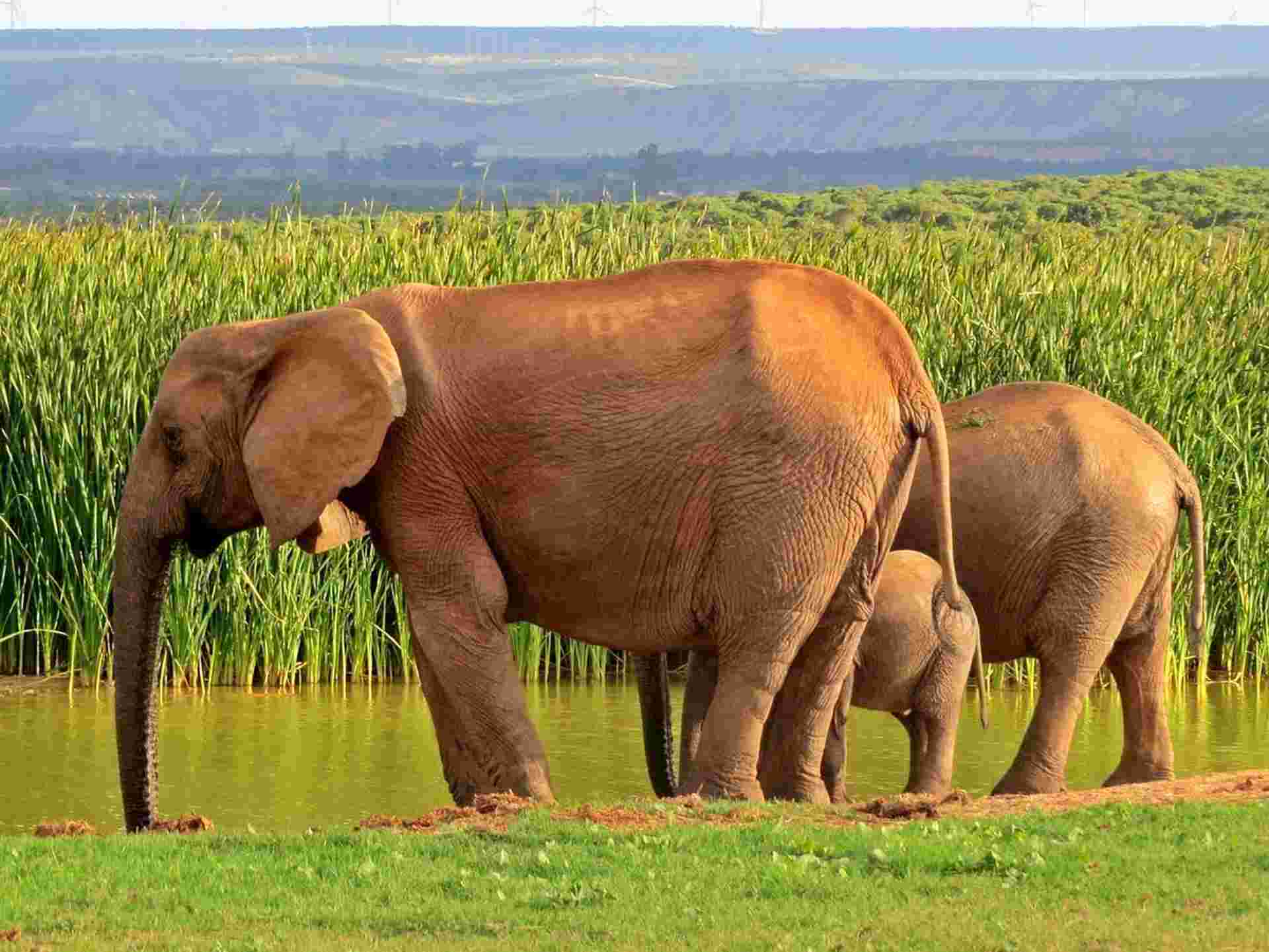 Kruger National Park 3D/2N