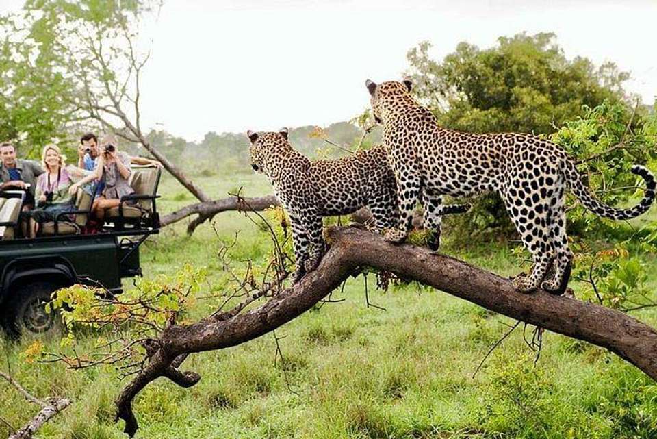 Kruger National Park 3D/2N - Bamba - South Africa - Image 2