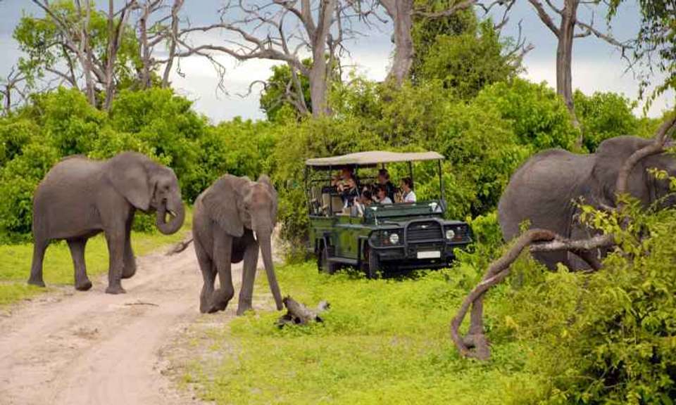 Kruger Safari & the Panorama Route - Expat Explore - South Africa - Image 4