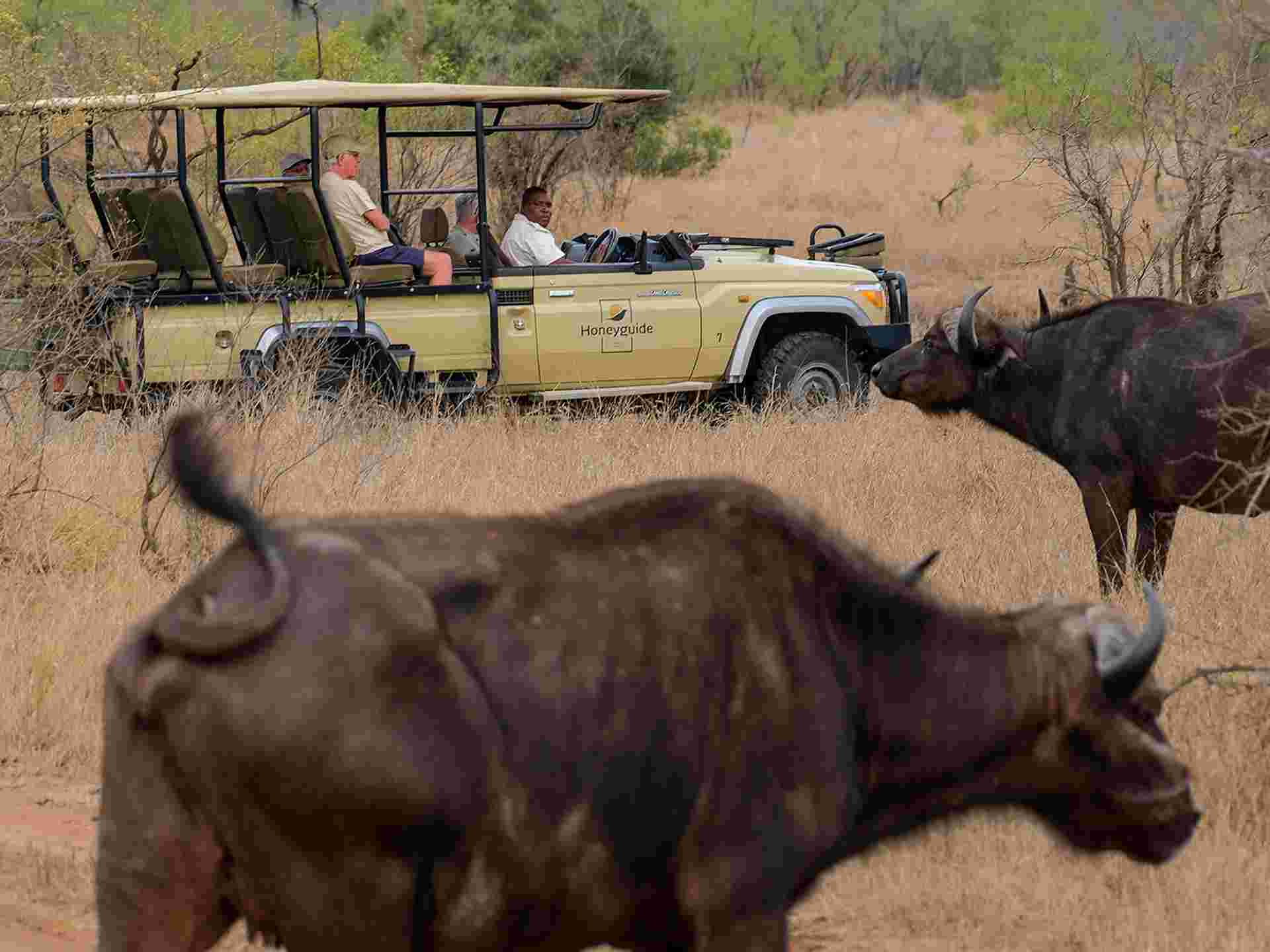 Kruger Safari & Victoria Falls - 8 days