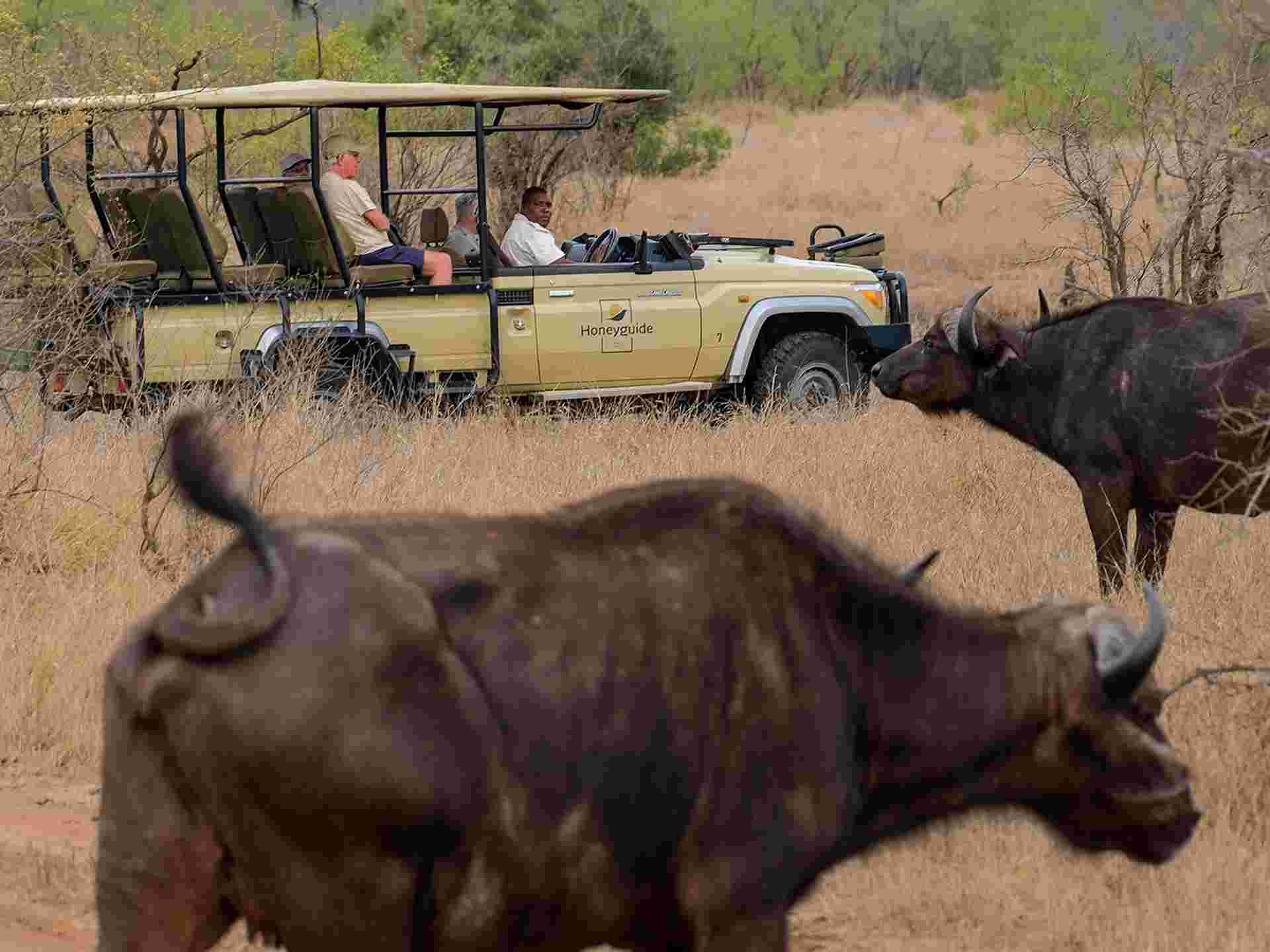 Kruger Safari & Victoria Falls - 8 days