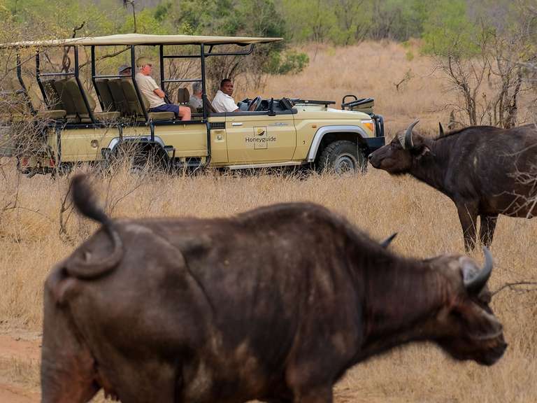 Kruger Safari & Victoria Falls - 8 days