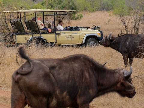 Kruger Safari & Victoria Falls - 8 Days