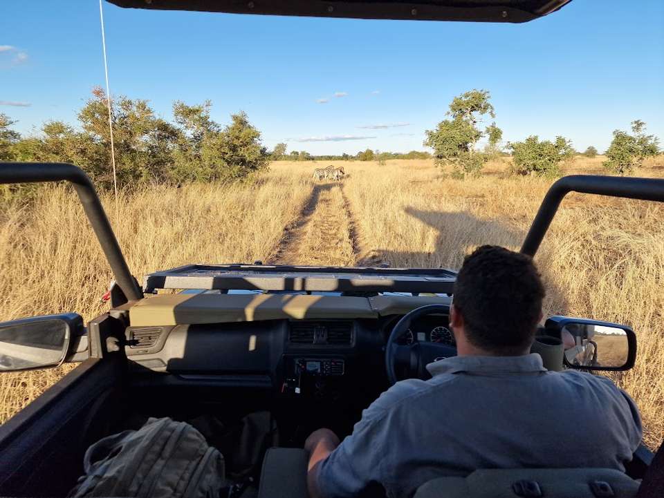 Kruger Safari Highlights - Premium Adventure - undefined - Image 22