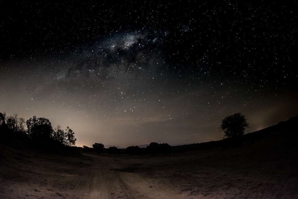 Kruger Safari Highlights - Premium Adventure - undefined - Image 20