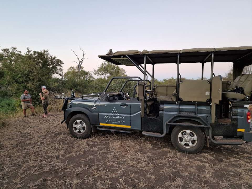Kruger Safari Highlights - Premium Adventure - undefined - Image 19