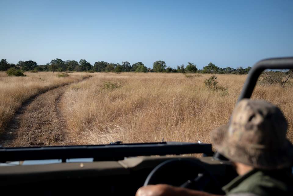 Kruger Safari Highlights - Premium Adventure - undefined - Image 2