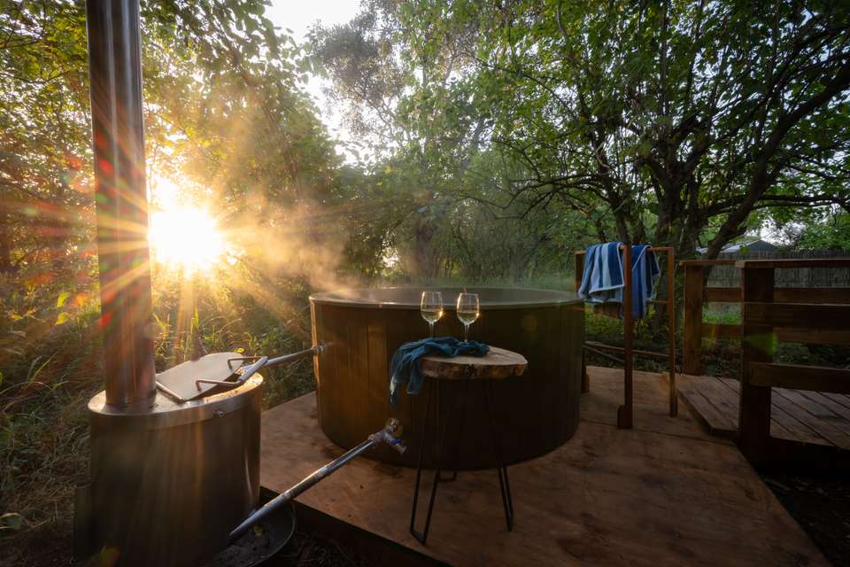 Kruger Safari Highlights - Premium Adventure - undefined - Image 13