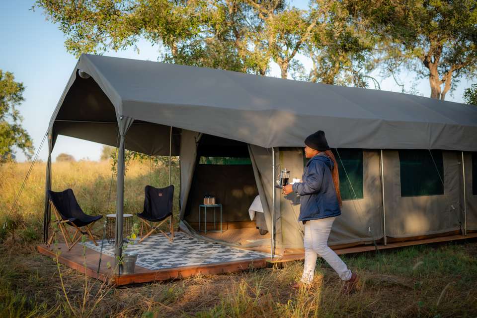 Kruger Safari Highlights - Premium Adventure - undefined - Image 11