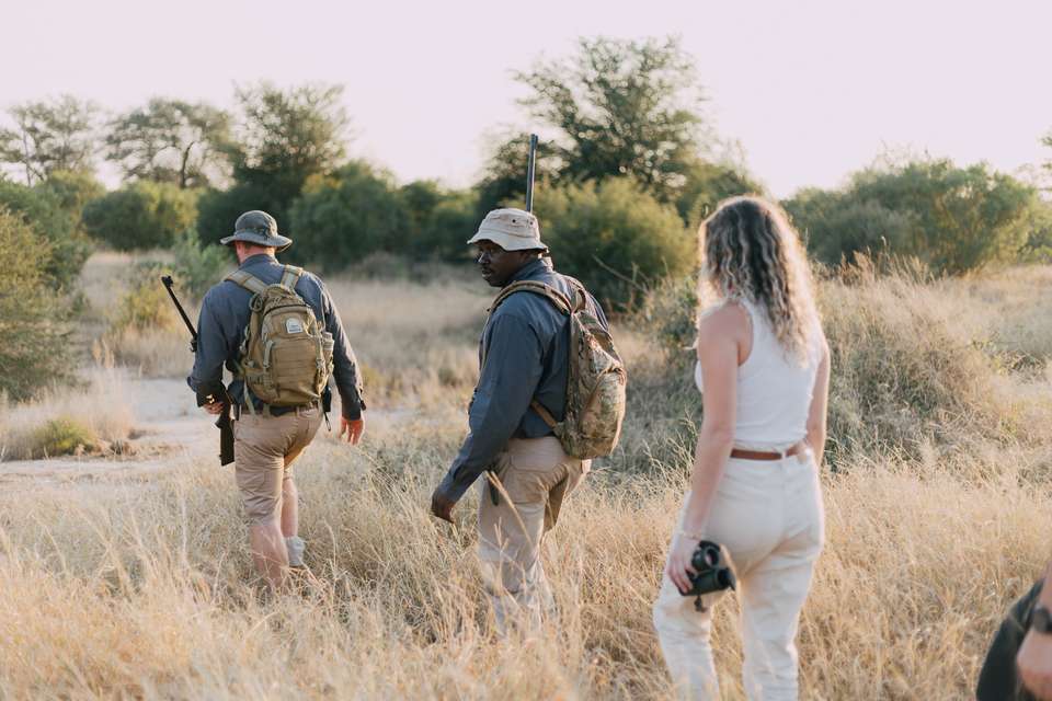 Kruger Safari Highlights - Premium Adventure - undefined - Image 9