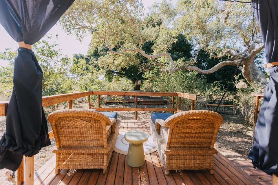 Kruger Safari Highlights - Premium Adventure - undefined - Image 7