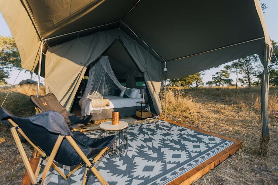 Kruger Safari Highlights - Premium Adventure - undefined - Image 4