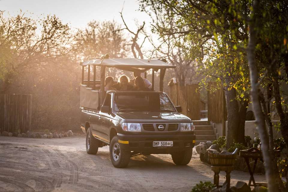 Kruger to Vic Falls - Intrepid Travel - South Africa - Image 4