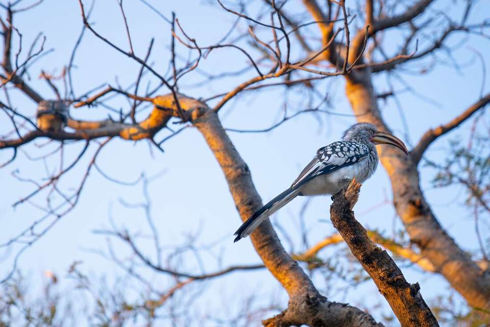 Kruger to Vic Falls - Intrepid Travel - South Africa - Image 10
