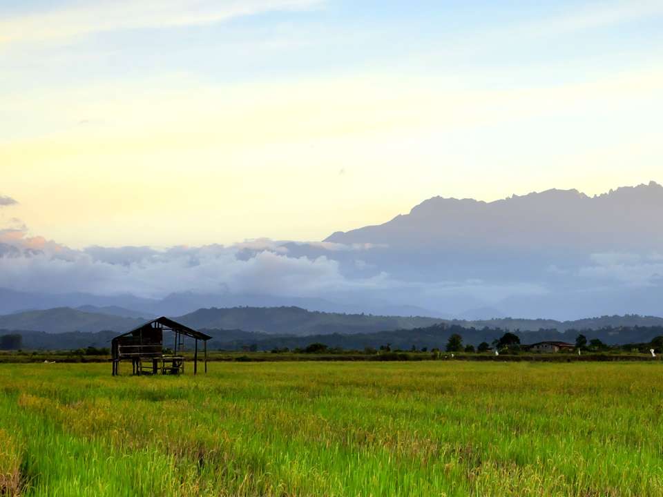 Kuala Lumpur & Borneo Explorer - 11 days - On The Go Tours - Malaysia - Image 7