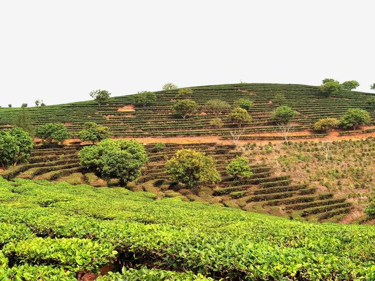 Kunming to Laos - 10 days
