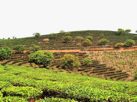 Kunming To Laos - 10 Days