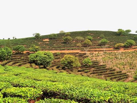 Kunming To Laos - 10 Days