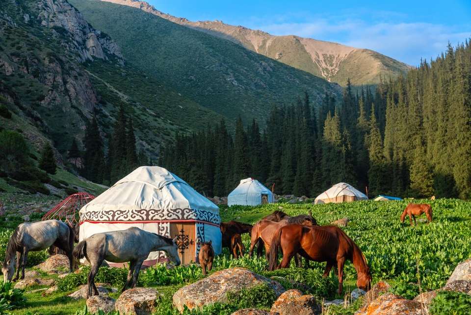 Kyrgyzstan: Trekking the Tien Shan Trails - Intrepid Travel - Kyrgyzstan - Image 6