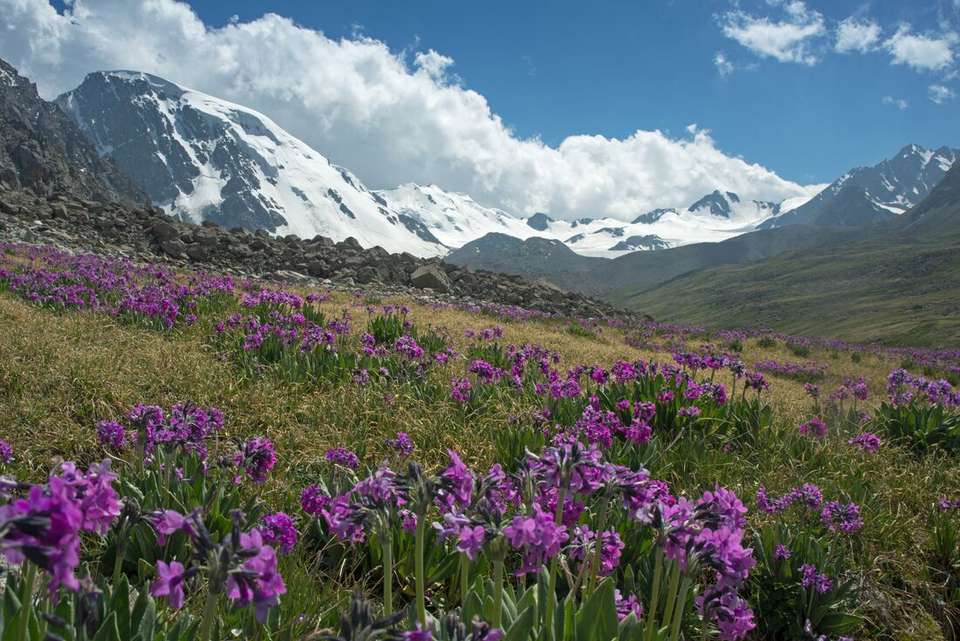 Kyrgyzstan: Trekking the Tien Shan Trails - Intrepid Travel - Kyrgyzstan - Image 8