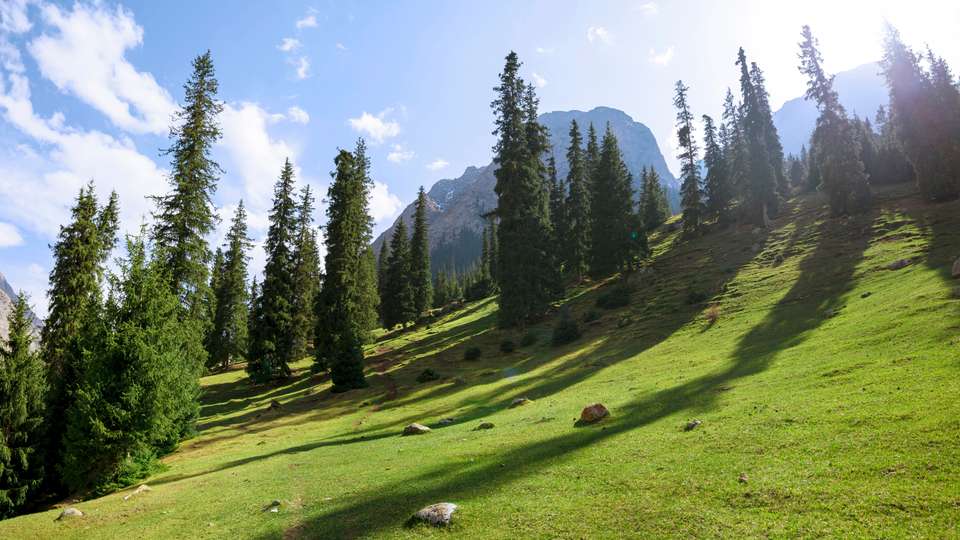 Kyrgyzstan Walking Explorer - Exodus Adventure Travels - Kyrgyzstan - Image 6