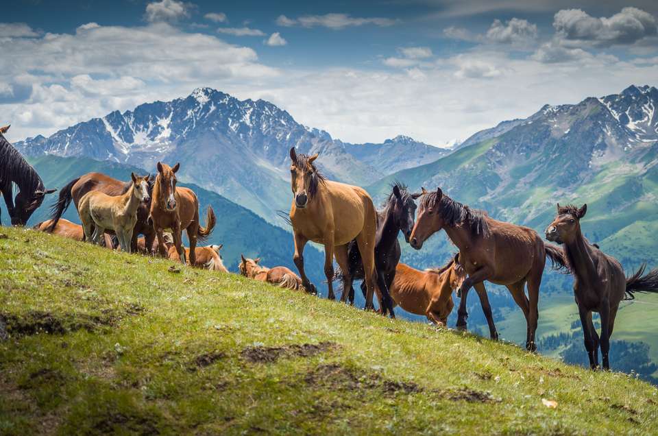 Kyrgyzstan Walking Explorer - Exodus Adventure Travels - Kyrgyzstan - Image 12