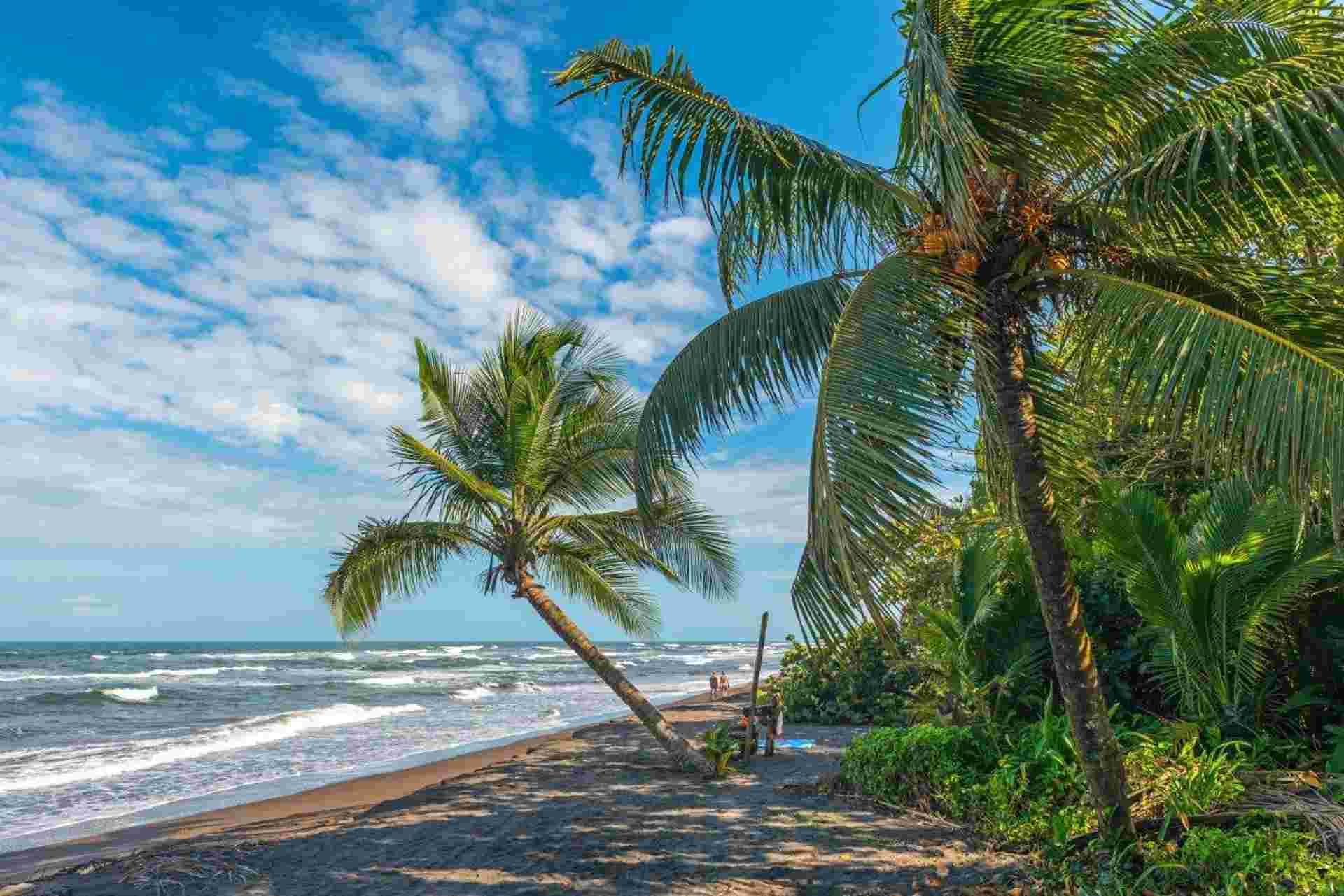 La Belle Escapade Tropicale Au Costa Rica