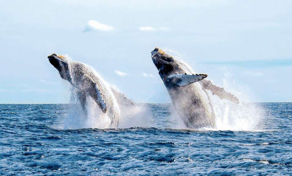 La Paz - Active - Destination Services - Mexico - Image 5