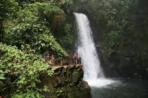 Costa Rica Bus Tour: La Paz Waterfall Gardens From San José