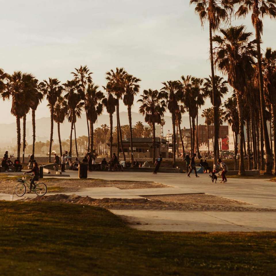 LA to the Bay - Contiki - USA - Image 6