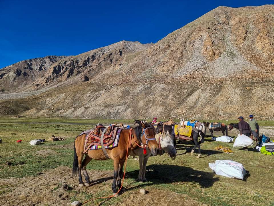 Ladakh: Nubra Valley Trek - Exodus Adventure Travels - India - Image 5